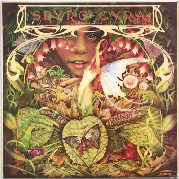 Spyro Gyra - Morning Dance...