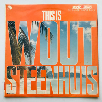 Wout Steenhuis - This Is...