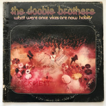 Doobie Brothers, The - What...