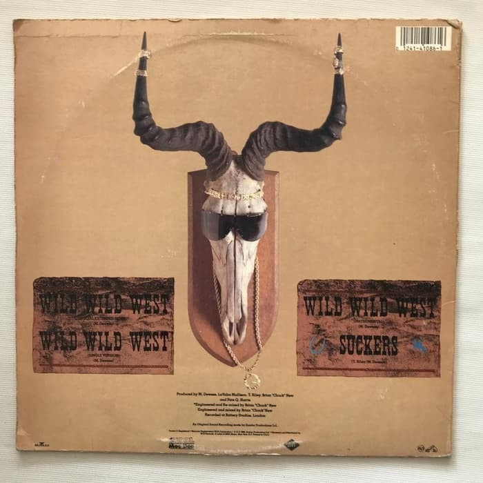 Kool Moe Dee - Wild, Wild West - Vinyl Piringan Hitam PH - Gambar 2