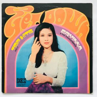 Ervinna - Top Hits Vol. 2 - LP Vinyl Piringan Hitam PH