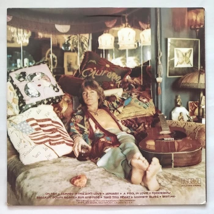 David Cassidy - Home Is Where The Heart Is - LP Vinyl PH - Gambar 2