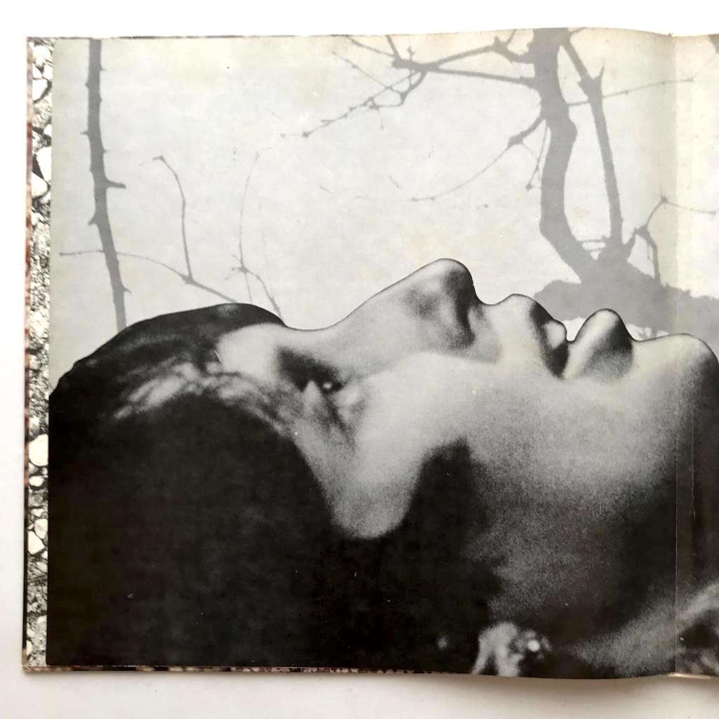 Joan Baez - New Side Of Joan Baez - LP Vinyl Piringan Hitam PH - Gambar 4