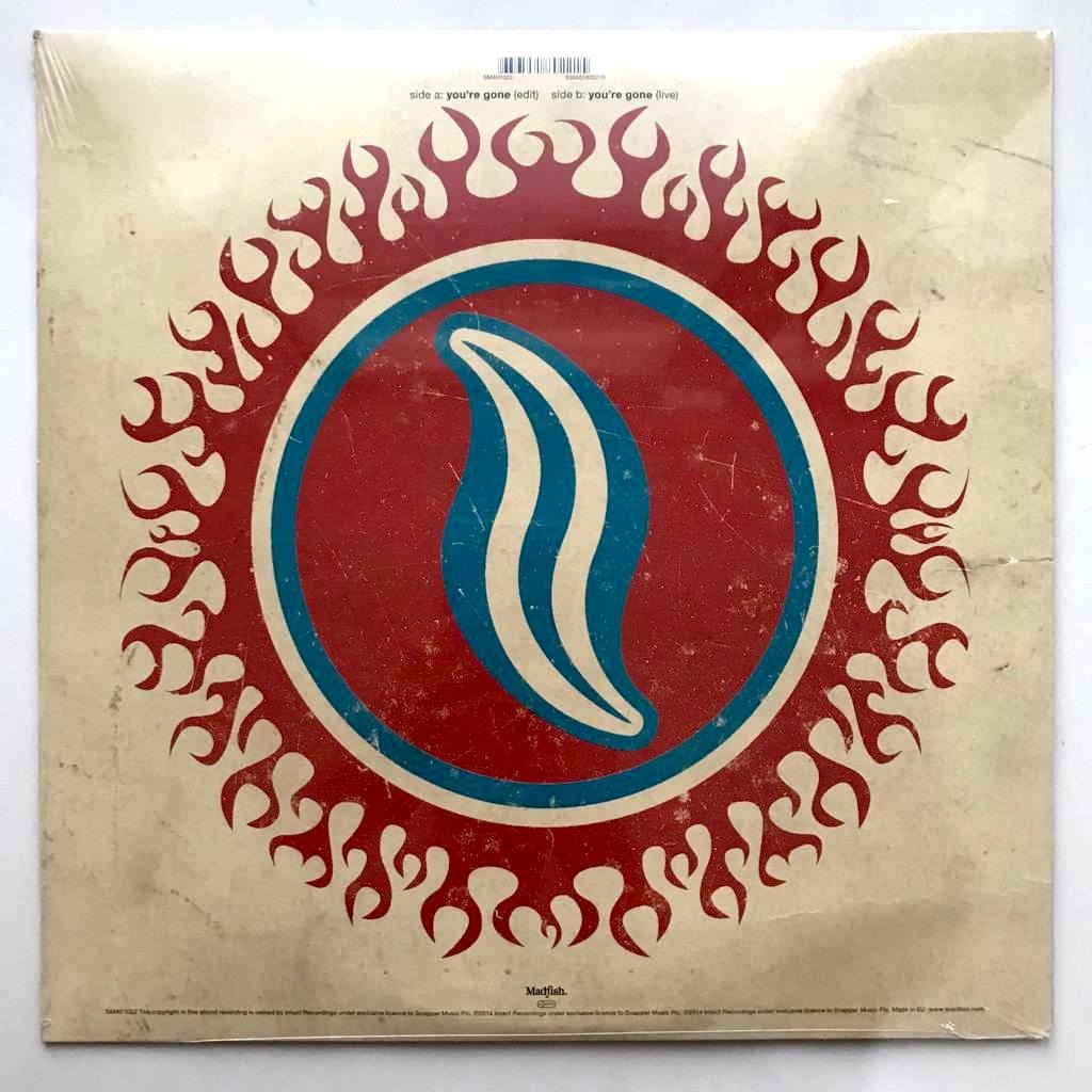 Marillion - You're Gone - Picture Single Vinyl PH - Gambar 2